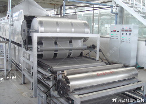 开封丽星 专业可靠的自动化粉皮机优选厂家