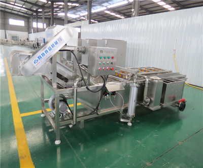 诸城利特机械设备 以创新科技引领福建冬枣与球茎类清洗新时代